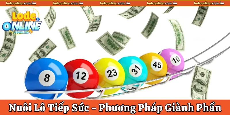 Nuôi lô tiếp sức